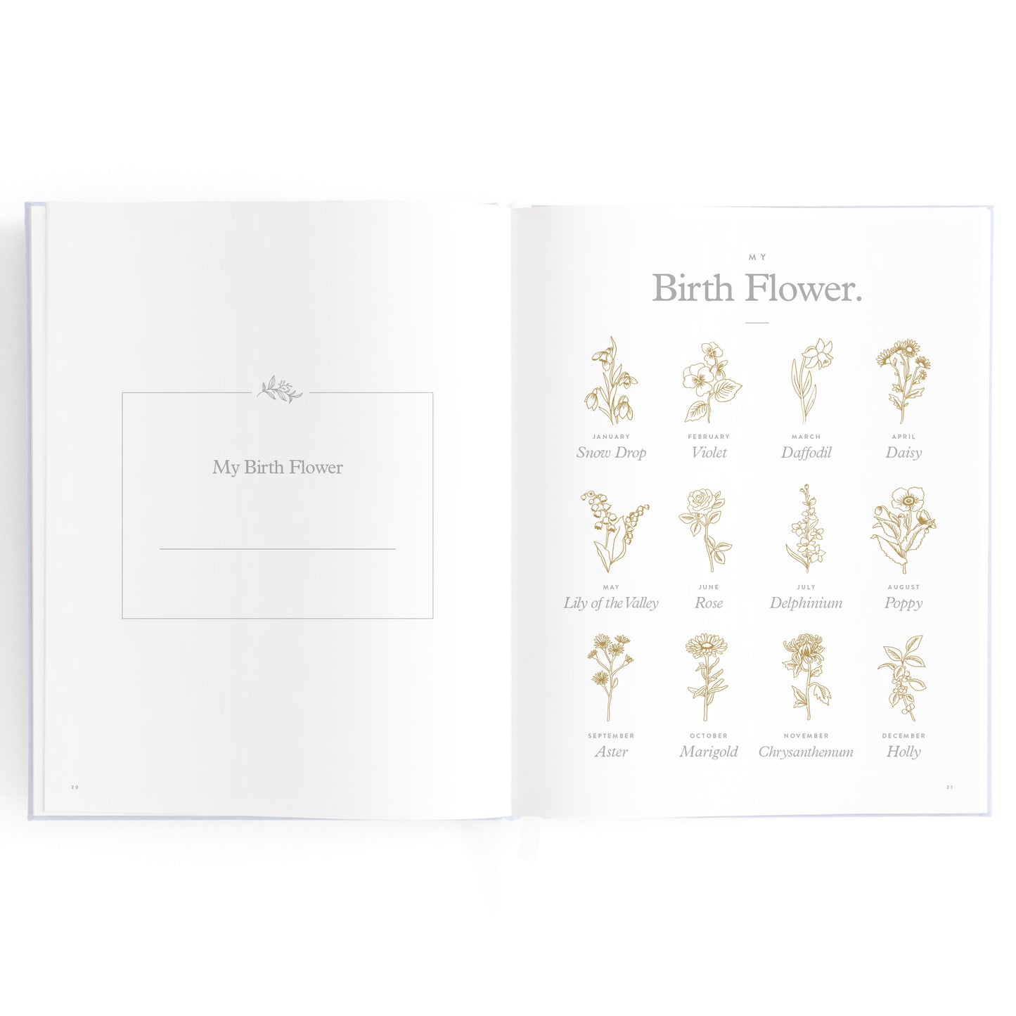 Baby Book Powder
