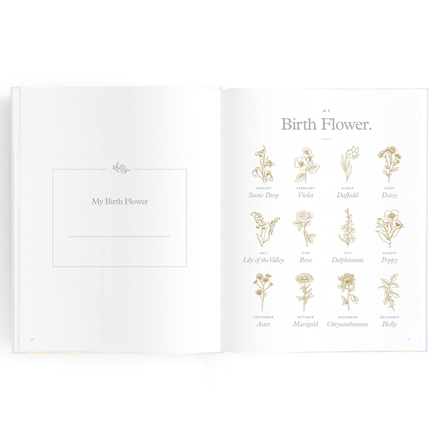 Baby Book Cloud Stripe
