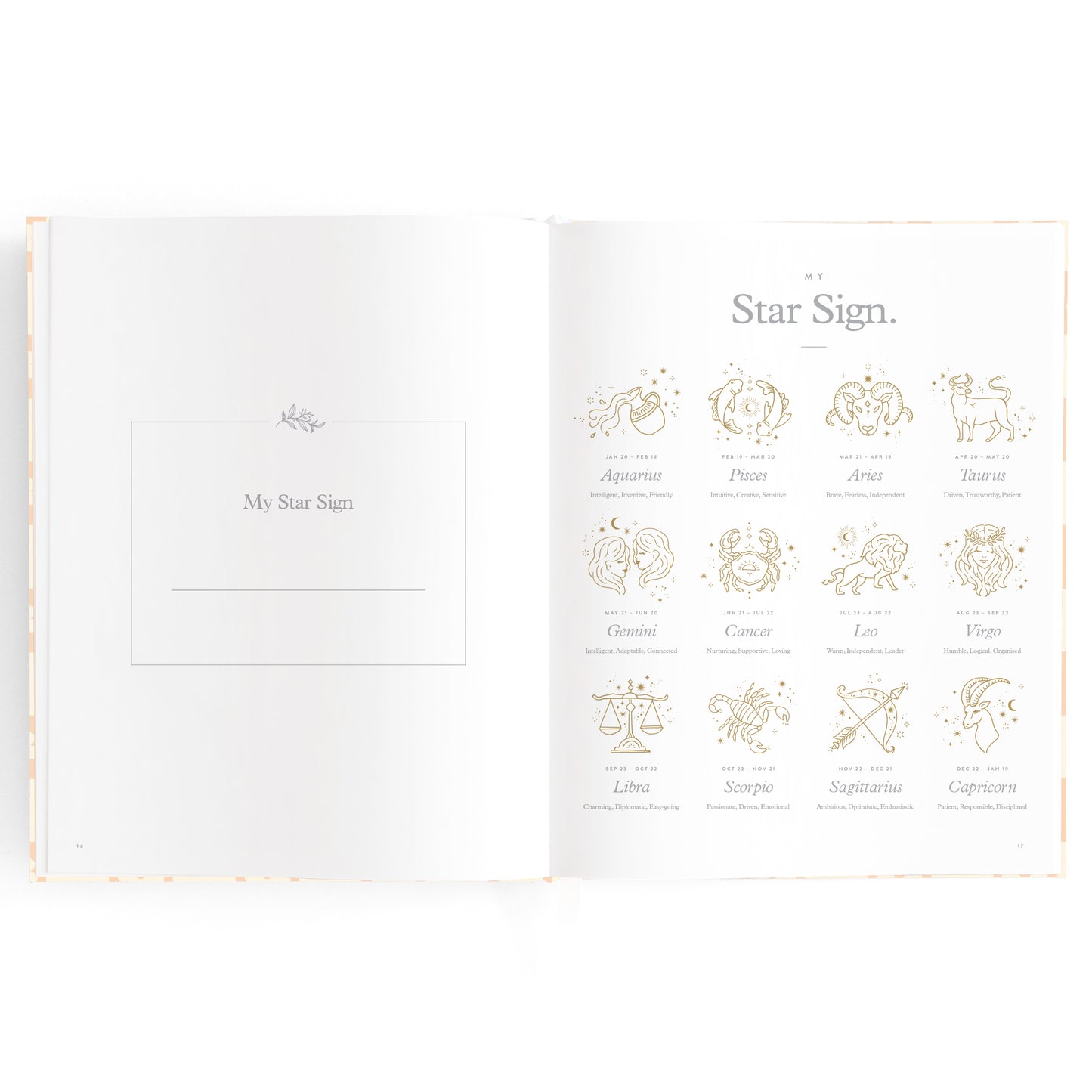 Baby Book Daisy Grid