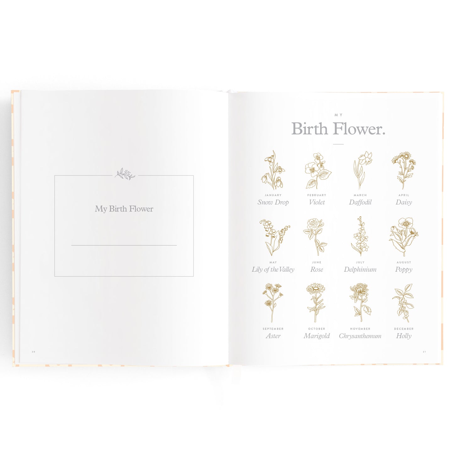 Baby Book Daisy Grid