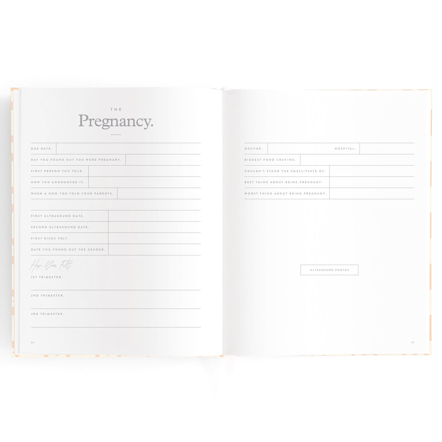 Baby Book Daisy Grid