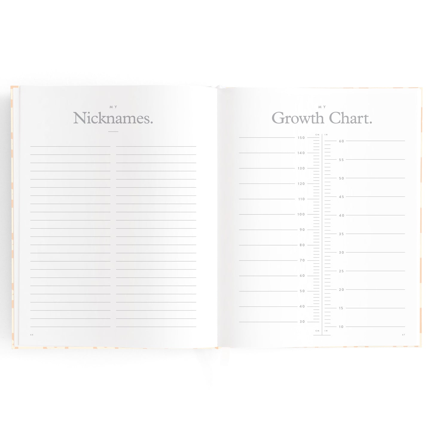 Baby Book Daisy Grid