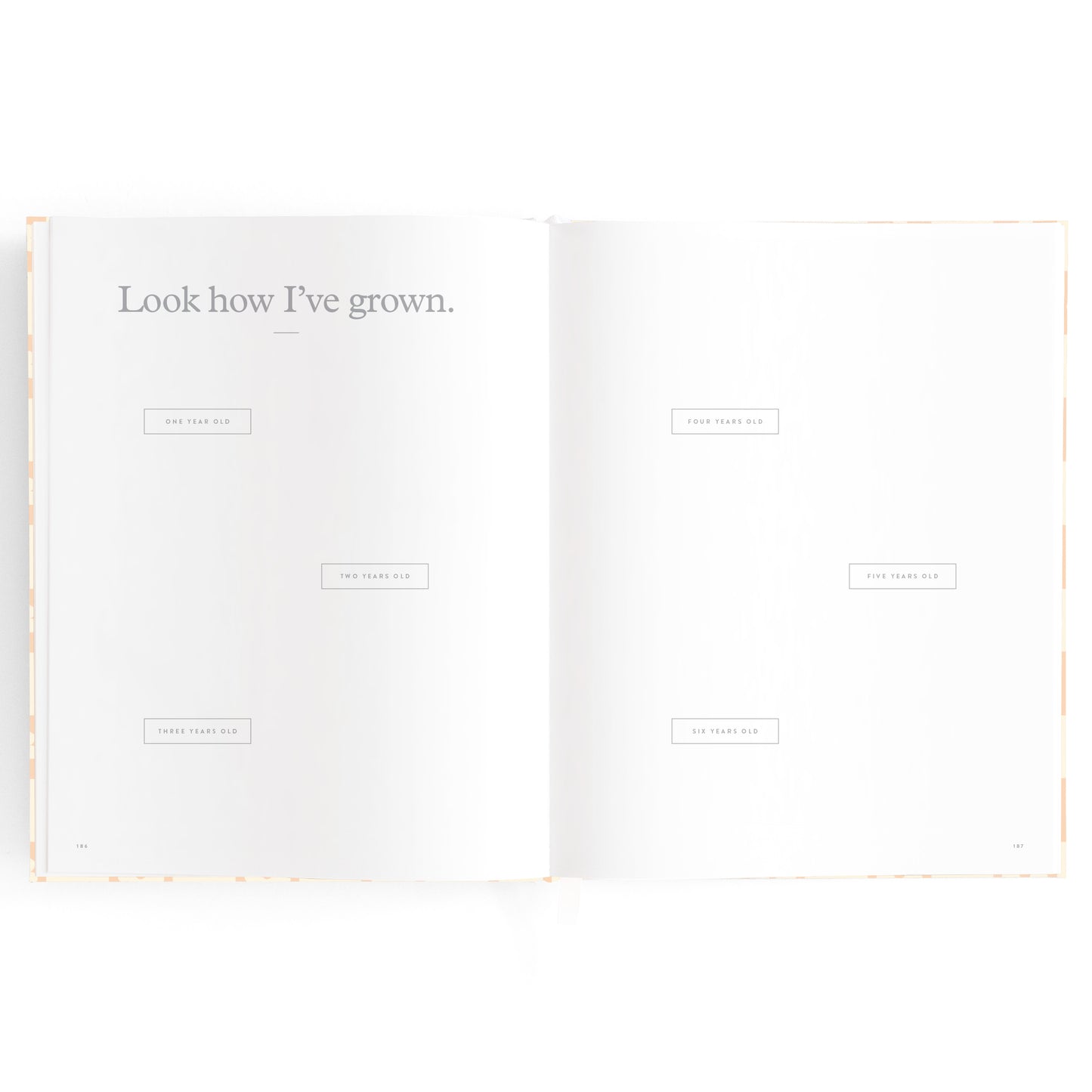 Baby Book Daisy Grid